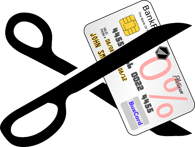 빚 탕감과 배드뱅크: 2025년 정책 동향과 쟁점 완벽 정리