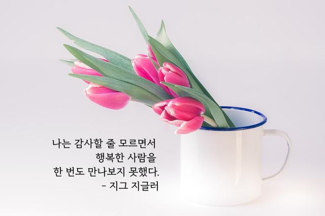 지그 지글러 명언 들어간 이미지