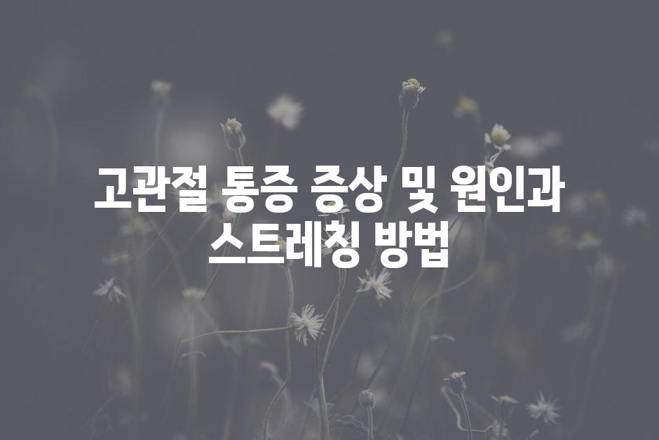 샘플 (46)