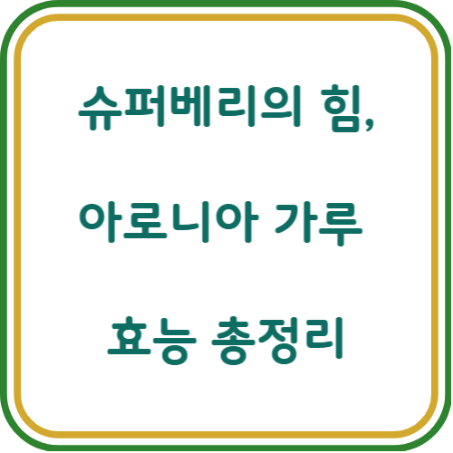 아로니아 가루 효능
