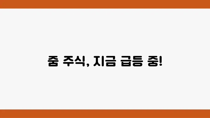 줌 비디오 주가 정보 현황 테이블