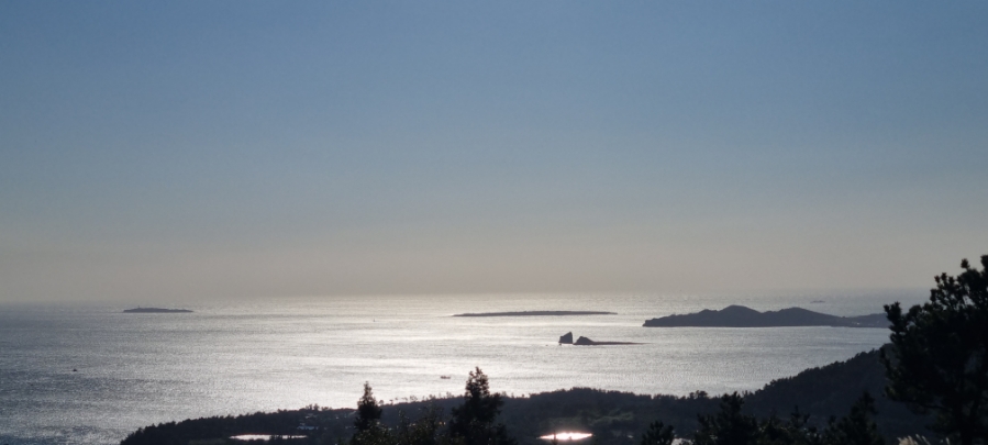 군산오름 정상에서 내려다 보는 뷰