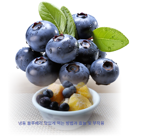 냉동 블루베리 맛있게 먹는 5가지 방법