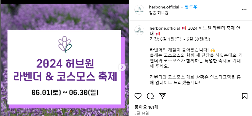 정읍 허브원 라벤더 축제