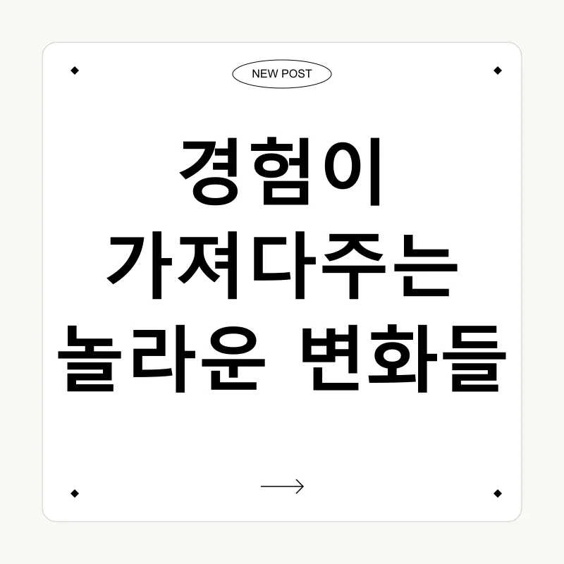 도전과 경험_3