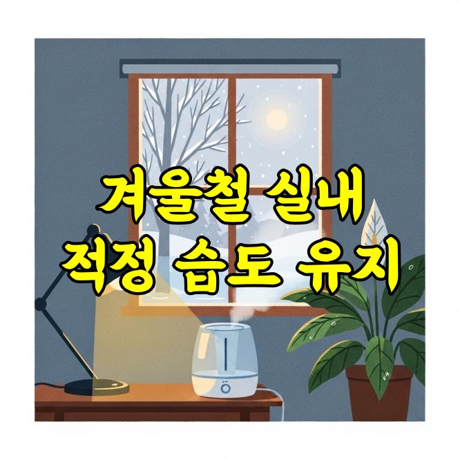 겨울철 실내 적정 습도 유지 방법과 건강한 실내환경 만들기
