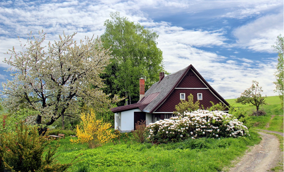 미국식 정원스타일 사진