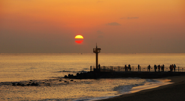 5월 강원도 여행 금진항 모습