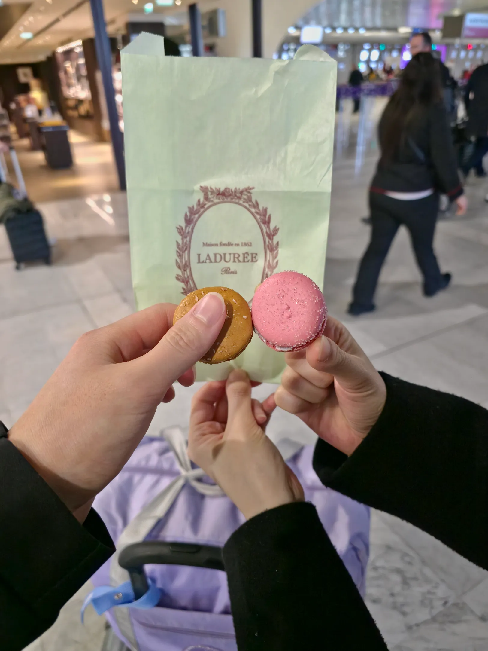 마카롱 2개 나란히 들고 찍은 사진