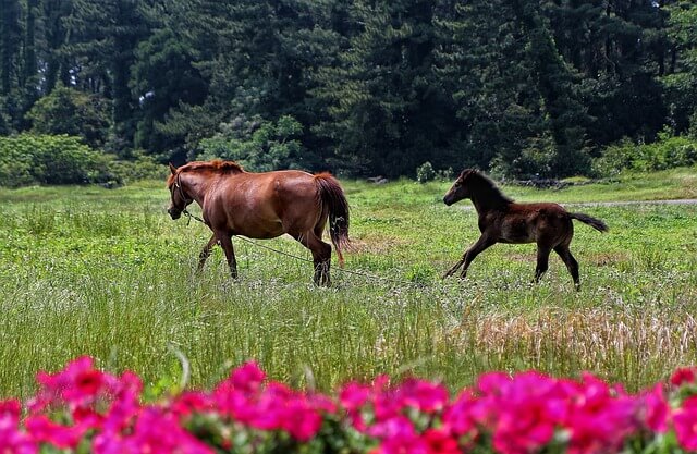 제주도 가성비 숙소
