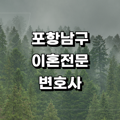 포항시 남구 이혼 변호사