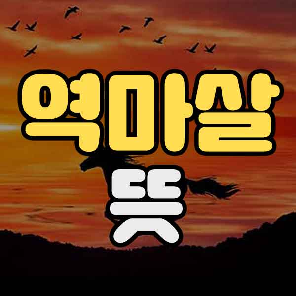 역마살 뜻-썸네일