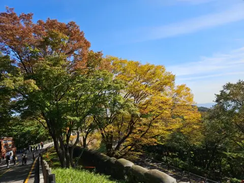 남산타워전망대-남산타워입장료할인