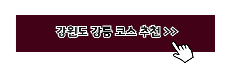 강원도 여행지 추천