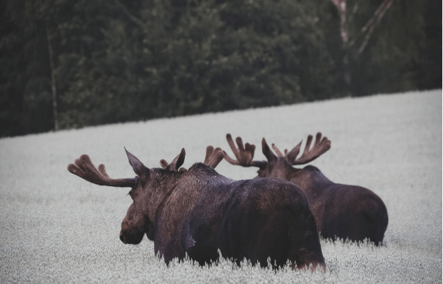 제로웨이스트 호텔과 지속 가능한 관광 산업의 전환