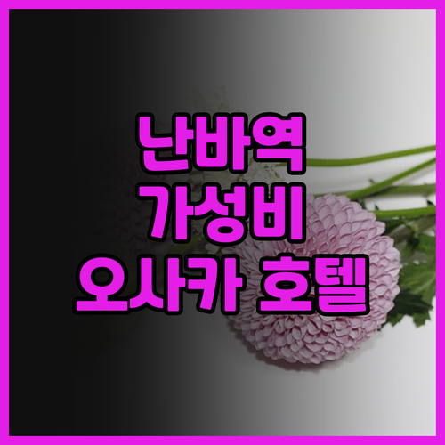 소테츠 그랜드 프레사 오사카 난바 숙..