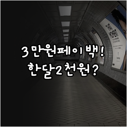 2026년 4~6월 기후동행카드 3만..