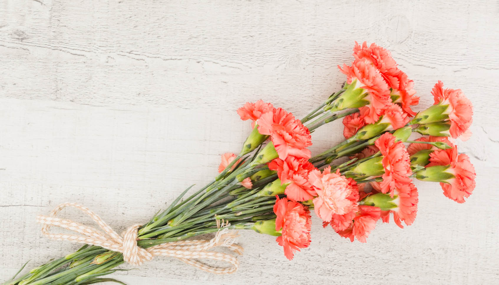 5월 8일 어버이날 카네이션 이미지