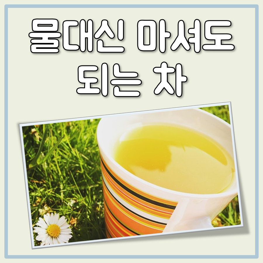 물대신 마셔도 되는 차 대표 이미지