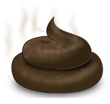 똥에 관한 꿈풀이 꿈해몽