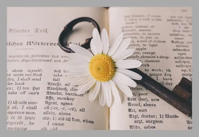 한강 채식주의자