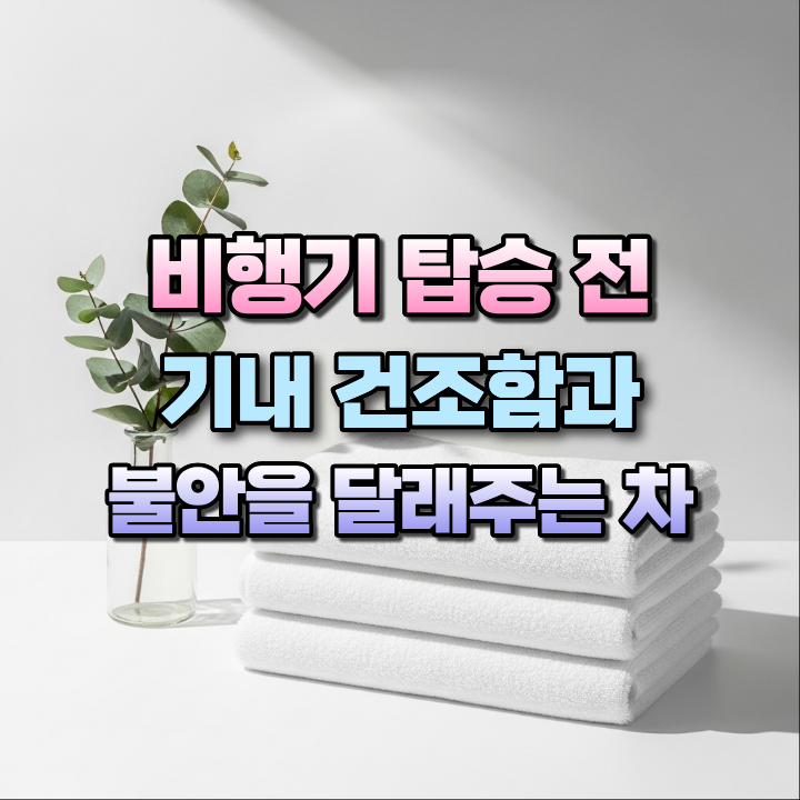 비행기탑승전기내건조함과불안을달래주는차