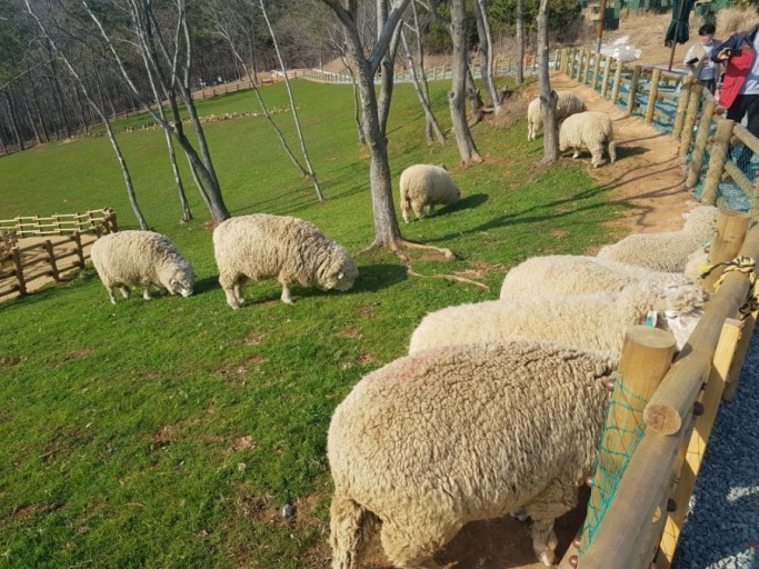 숲소리 공원