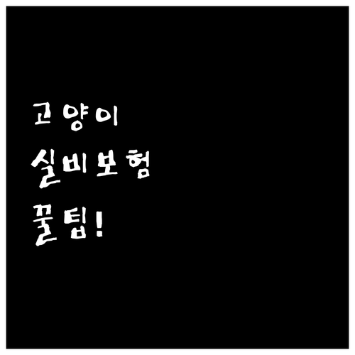 고양이 수술비 실비보험 보장 내용과 ..