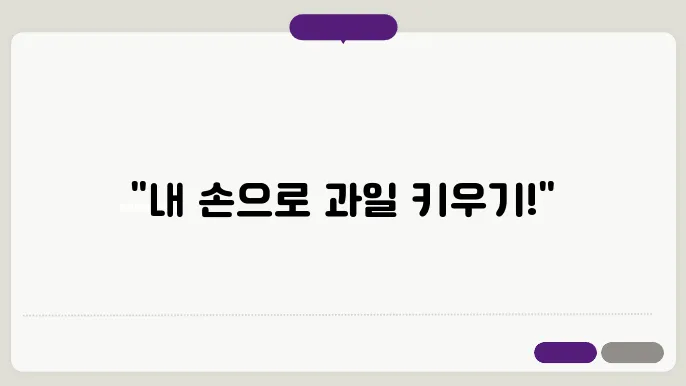 파인애플 기르기