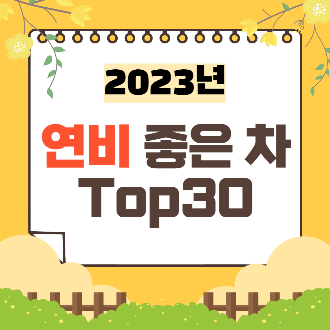 연비 좋은 차 TOP 30