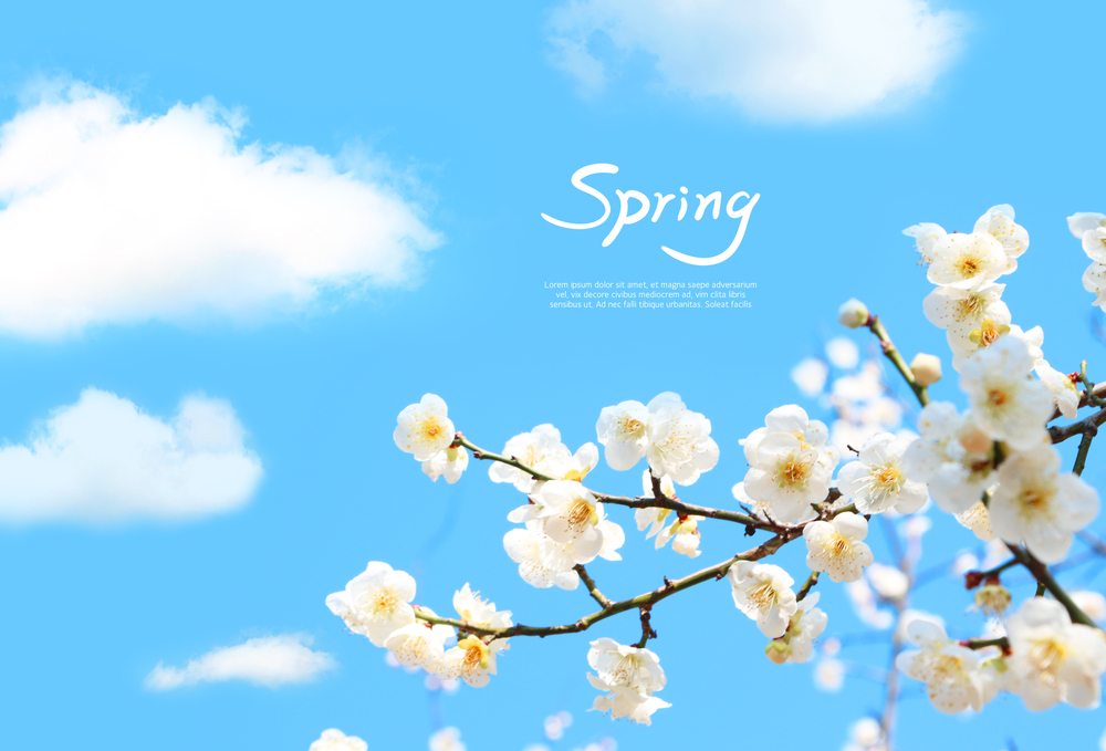 수목생리학이란