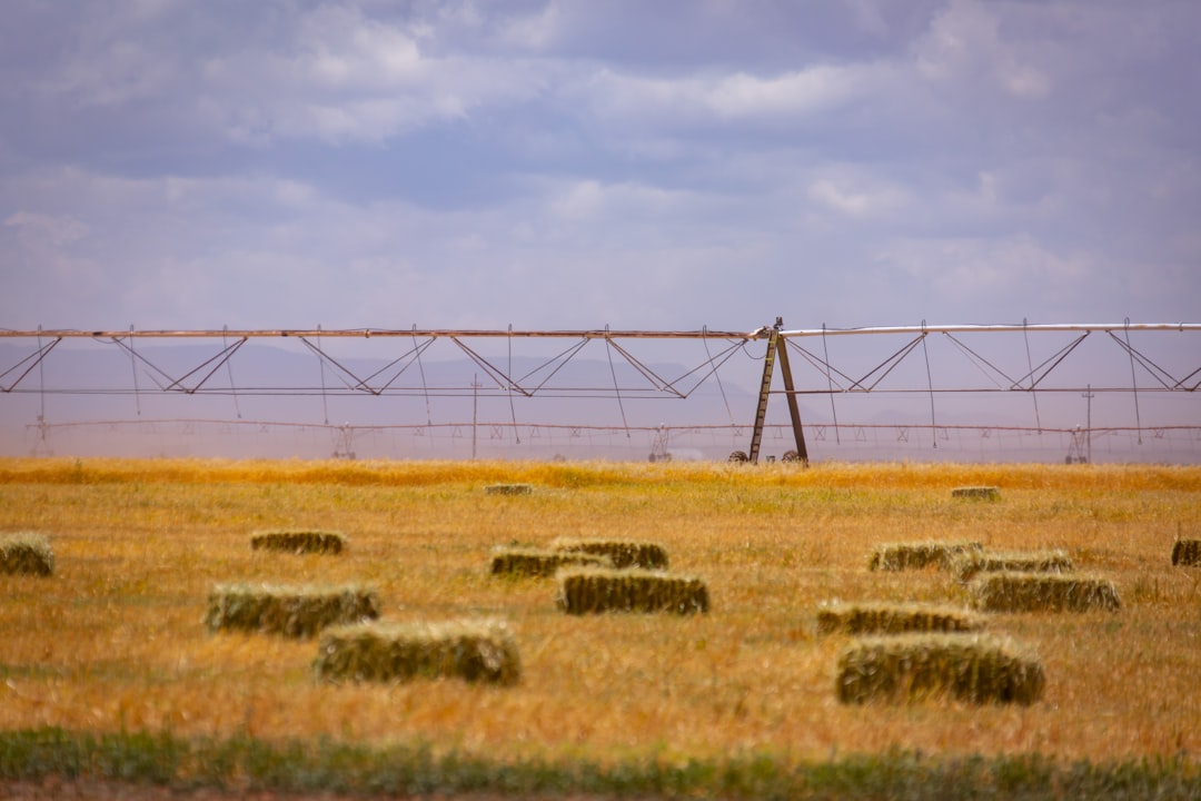 Agricultural Finance