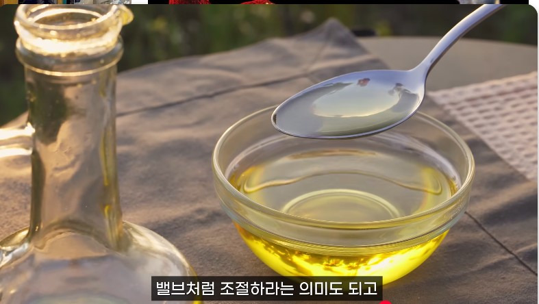 3개월에 -9kg, 적게 먹고 운동하기 아닙니다...이 스위치를 켜야 ( 홍슐린채널 영상 캡처 )