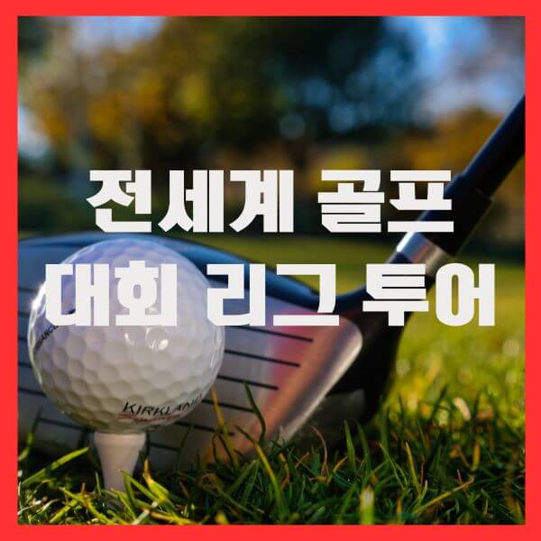 전세계 골프대회