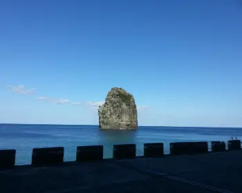 울릉도 여행&amp;#44; 배편 시간표24