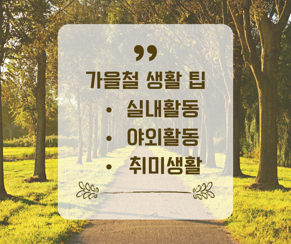 가을철 생활 팁 (실내활동, 야외활동, 취미생활)