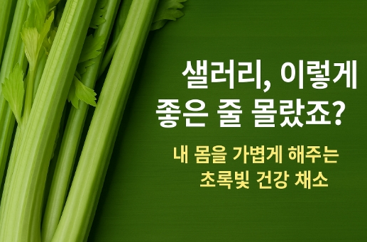 샐러리 효능