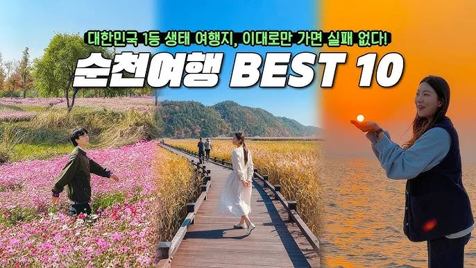 순천 가볼만한곳 베스트10 순천만 갈대밭 숨겨진 명소_3