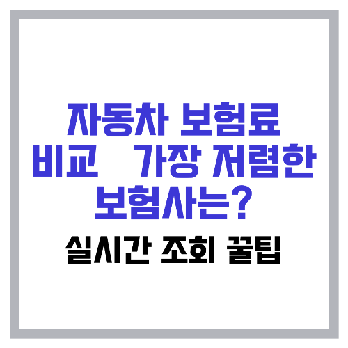 자동차 보험료 비교 🚗 가장 저렴한 보험사는 실시간 조회 꿀팁