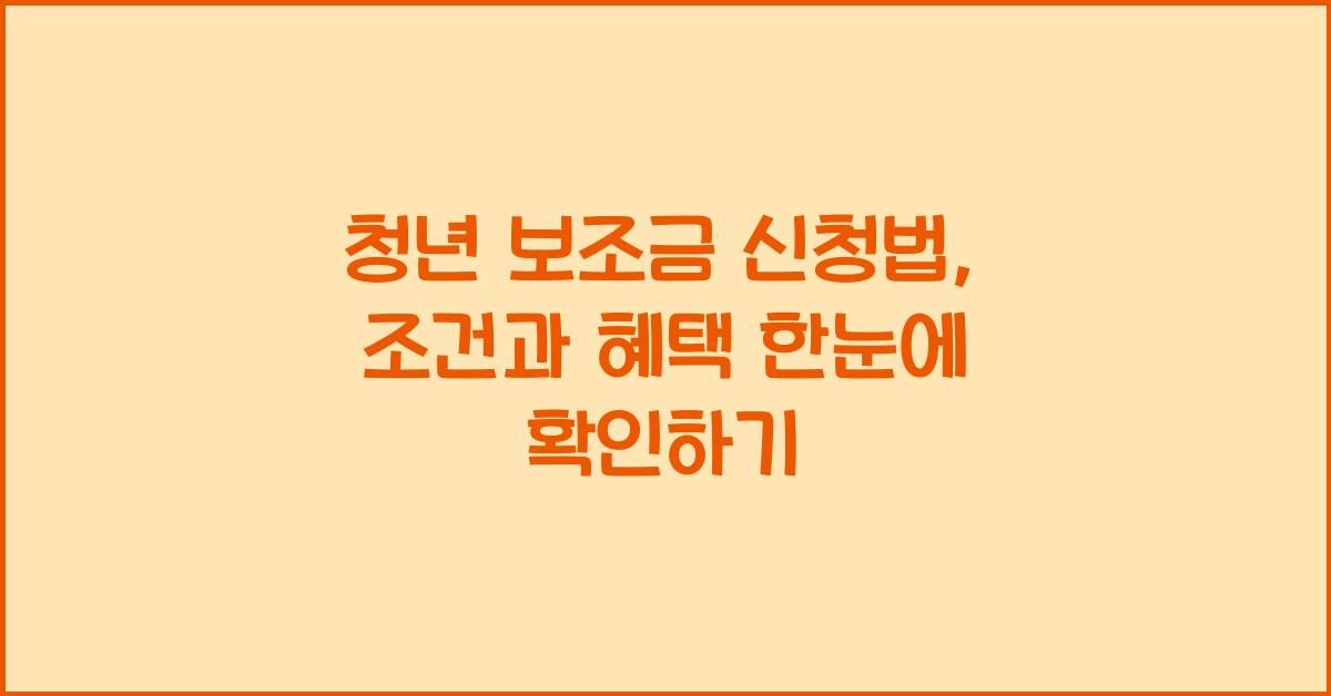 청년 보조금 신청법