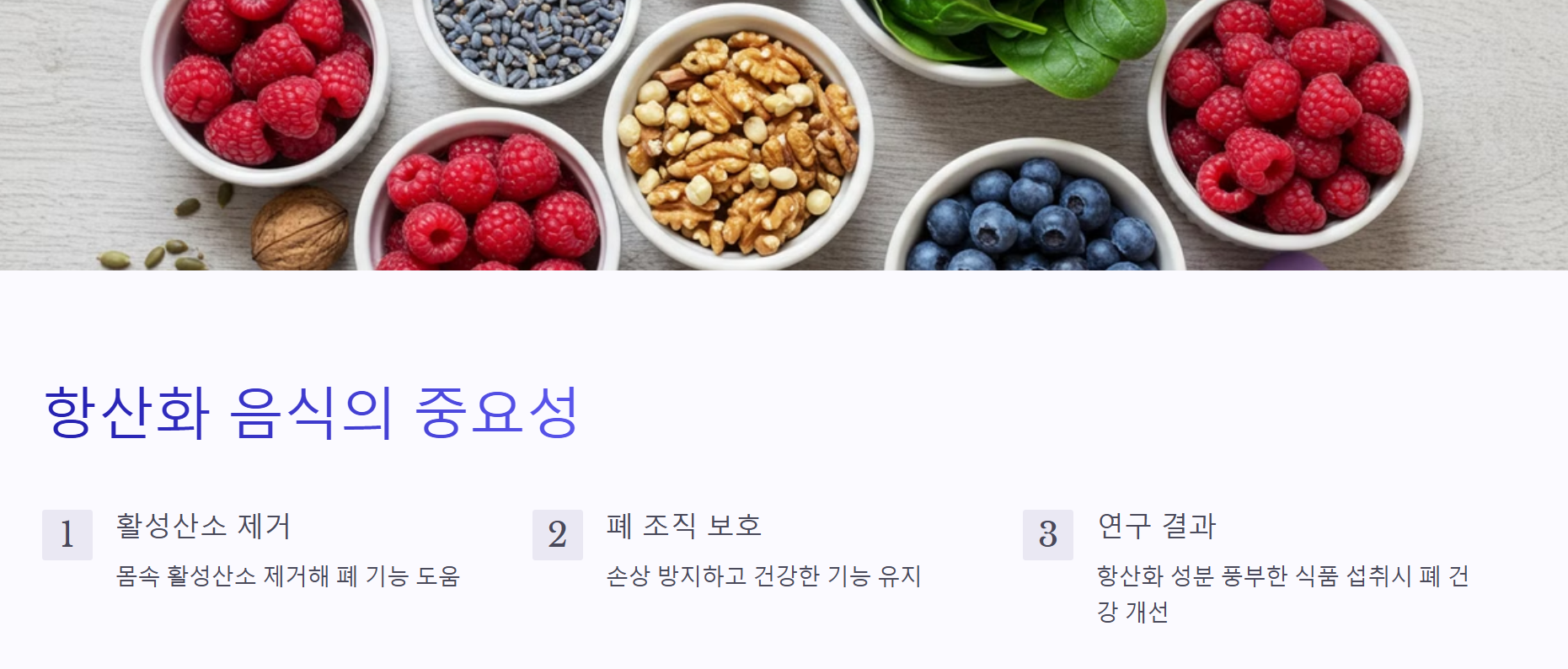항산화 음식의 중요성