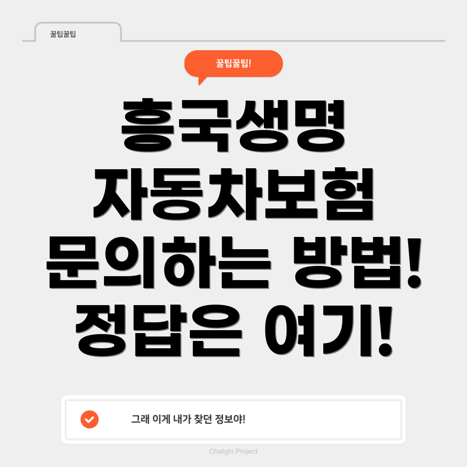 자동차보험