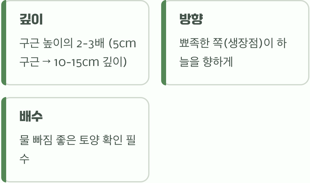 실패 없는 심기, 깊이와 방향