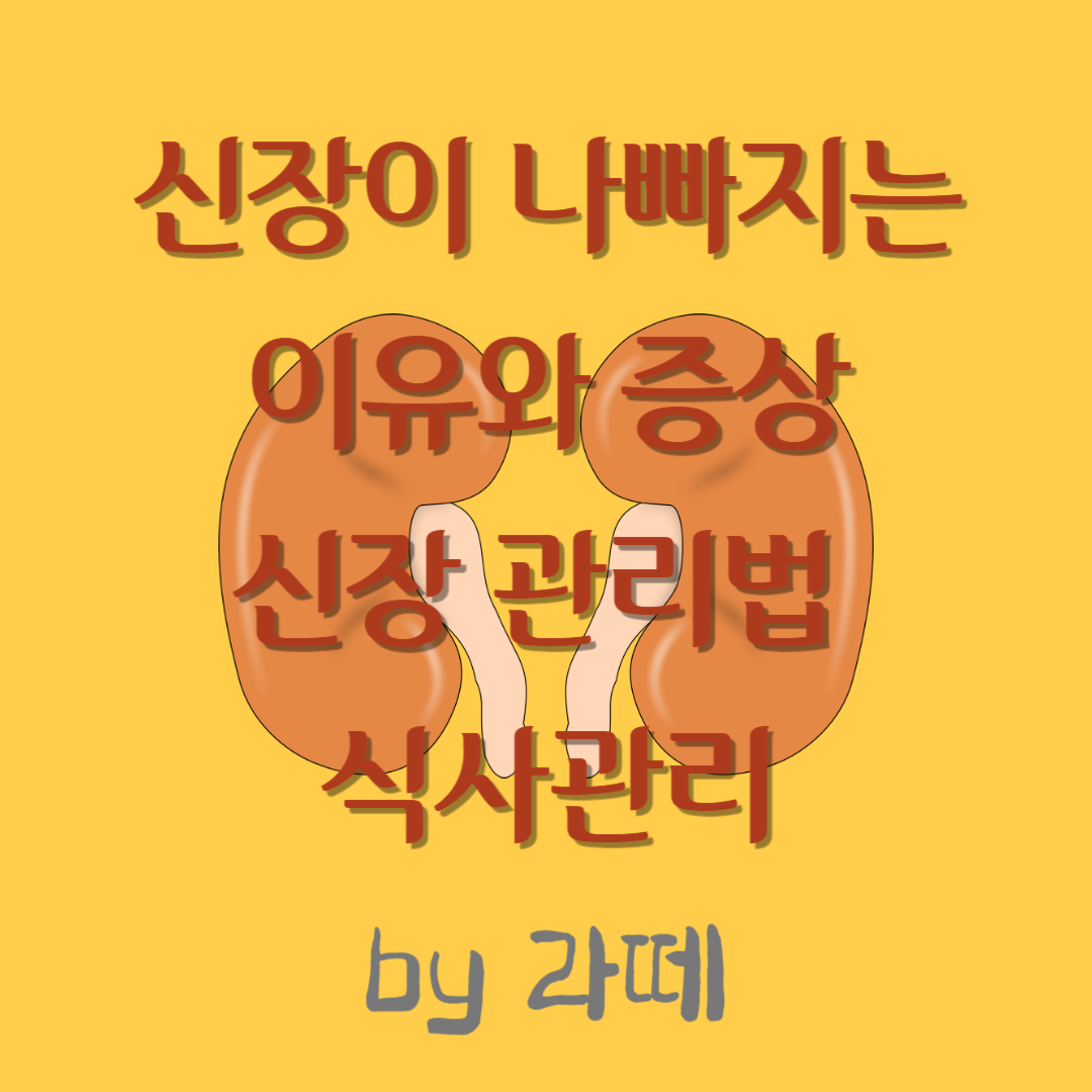 신장이 나빠지는 이유와 증상, 꼭 알아야 할 신장 관리법 식사관리