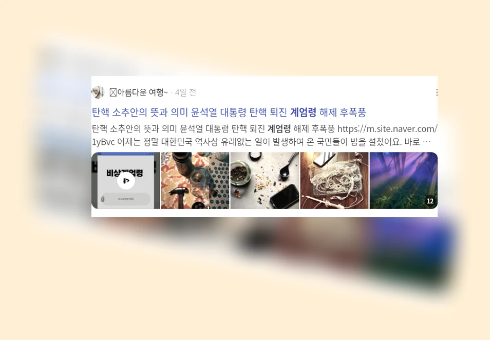 계엄령_2_subsection