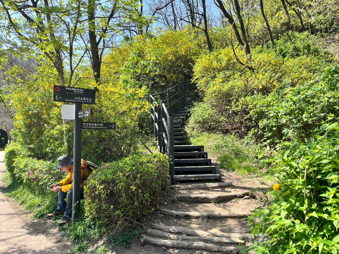 메타세쿼이아숲으로