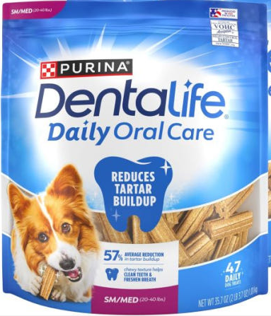 강아지 덴탈관련사진