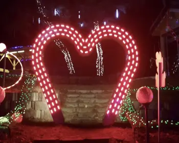 고니골 빛축제_19