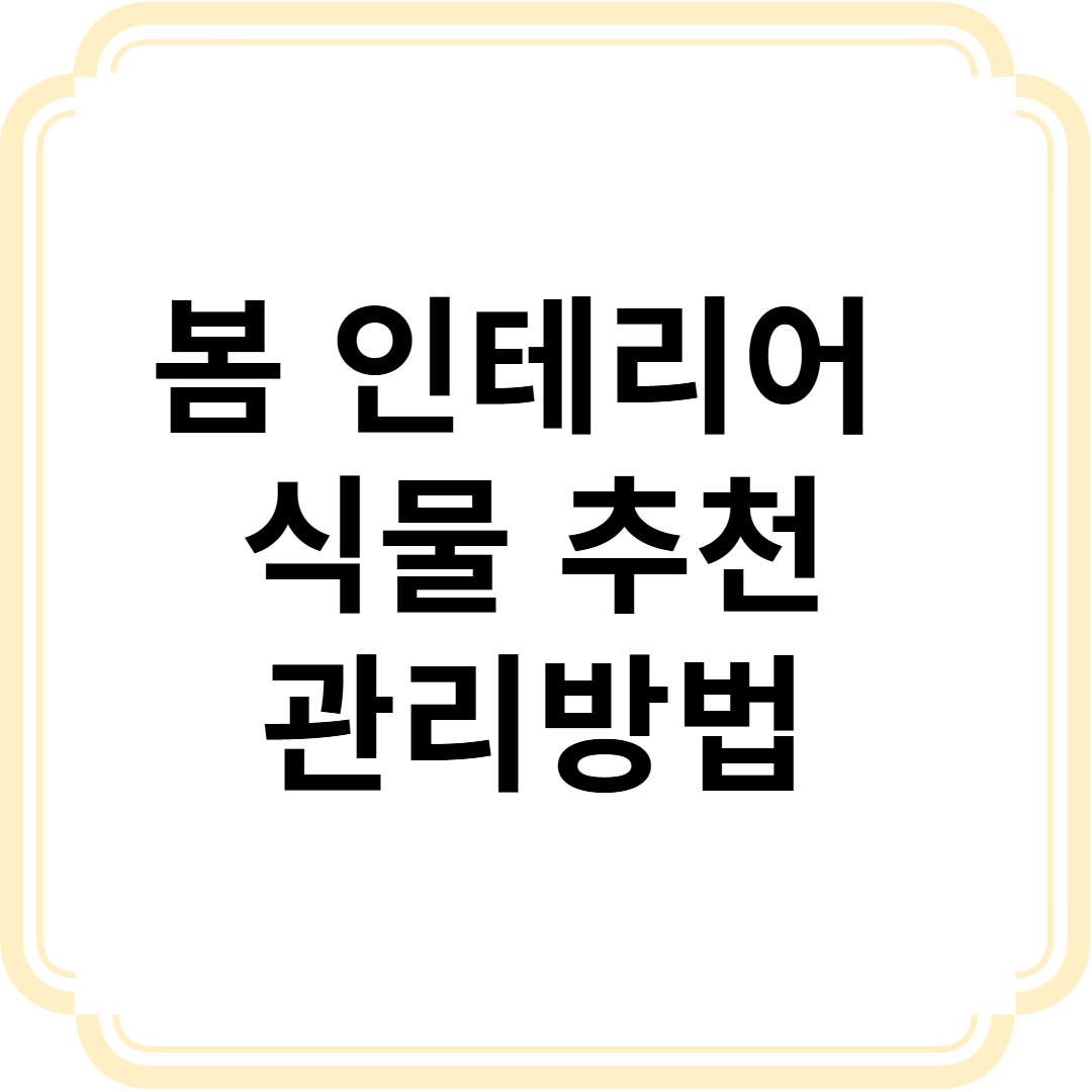봄 인테리어 식물 추천 및 관리방법