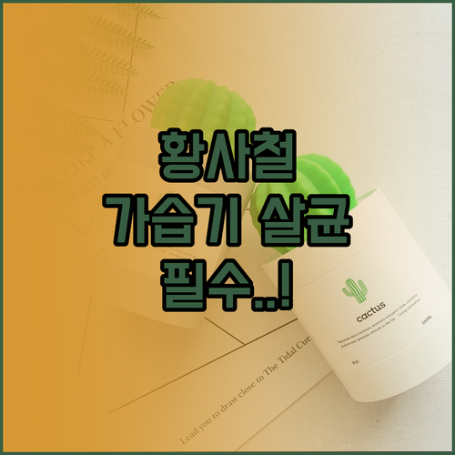 기관지 섬모 운동 돕는 황사철 가습기..